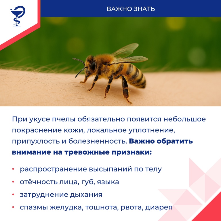 Лето – пора активности насекомых
