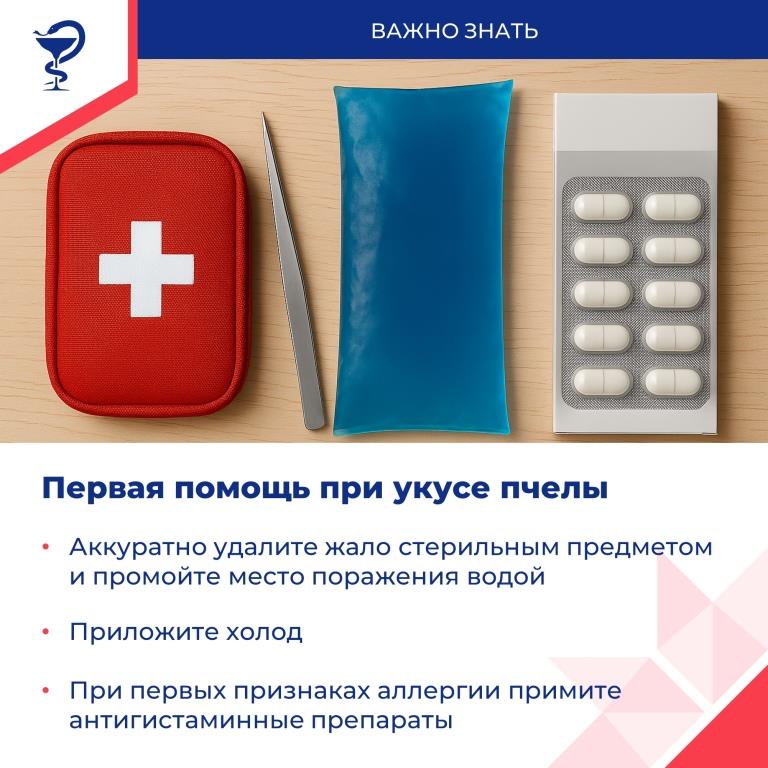 Лето – пора активности насекомых