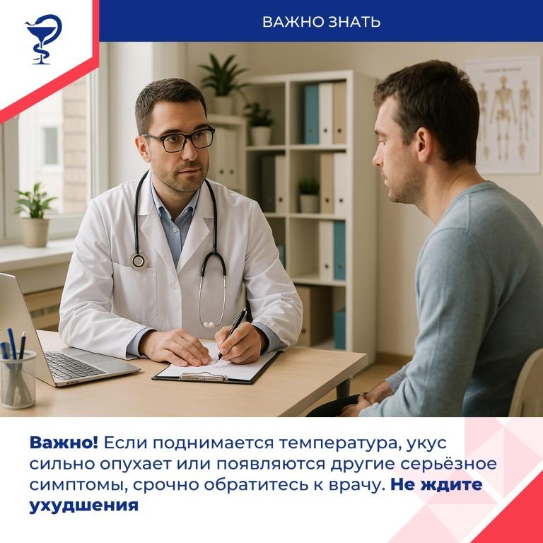 Лето – пора активности насекомых