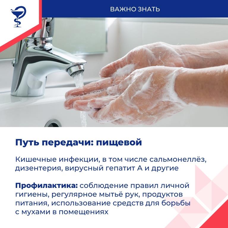 Инфекции окружают нас всюду