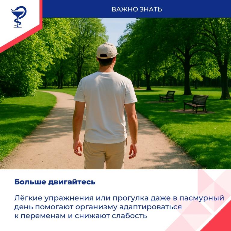 Метеочувствительность