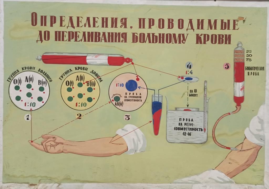 Путешествие в прошлое