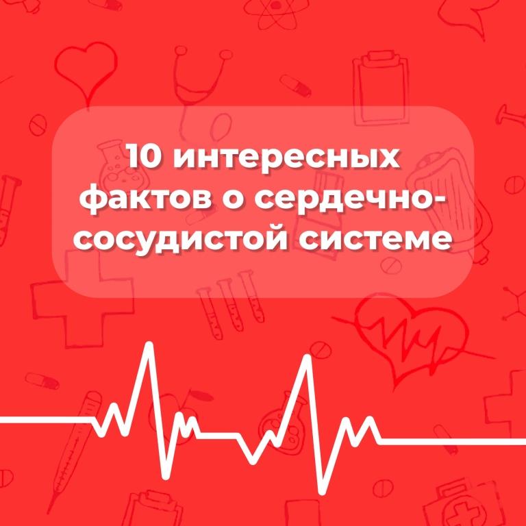 Всё ли вы знаете о своём организме
