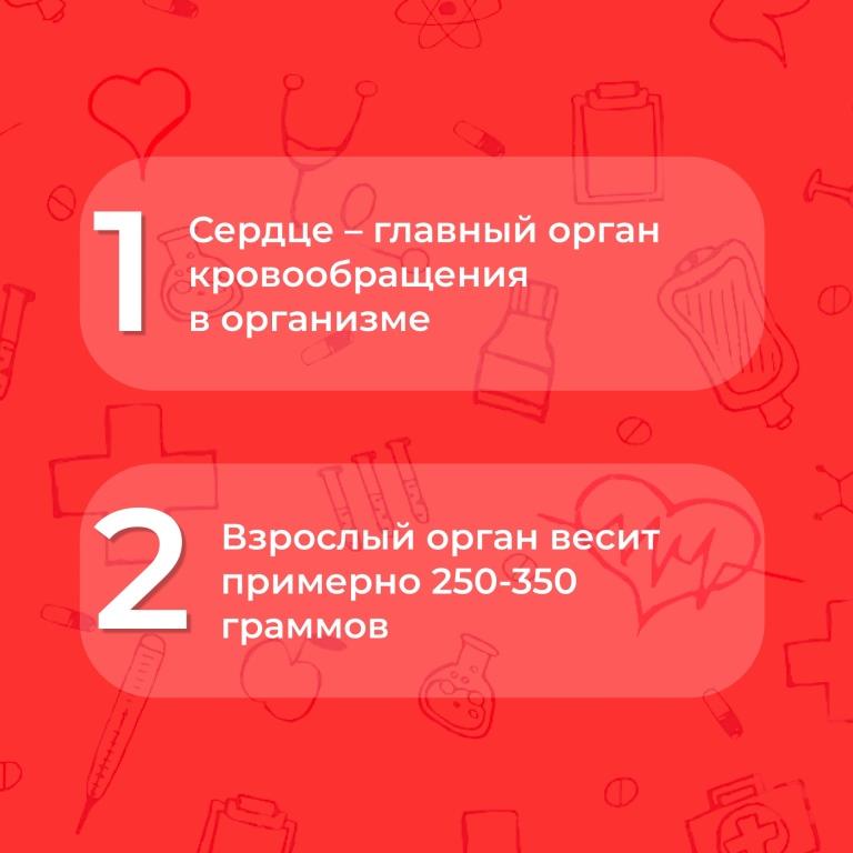 Всё ли вы знаете о своём организме
