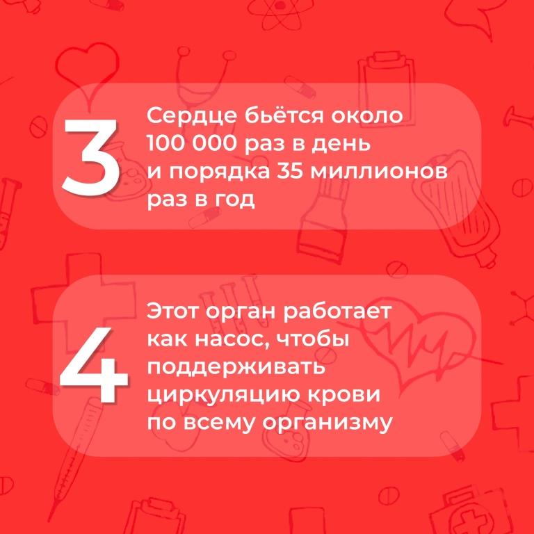 Всё ли вы знаете о своём организме
