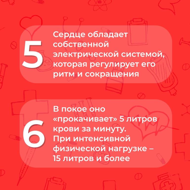 Всё ли вы знаете о своём организме