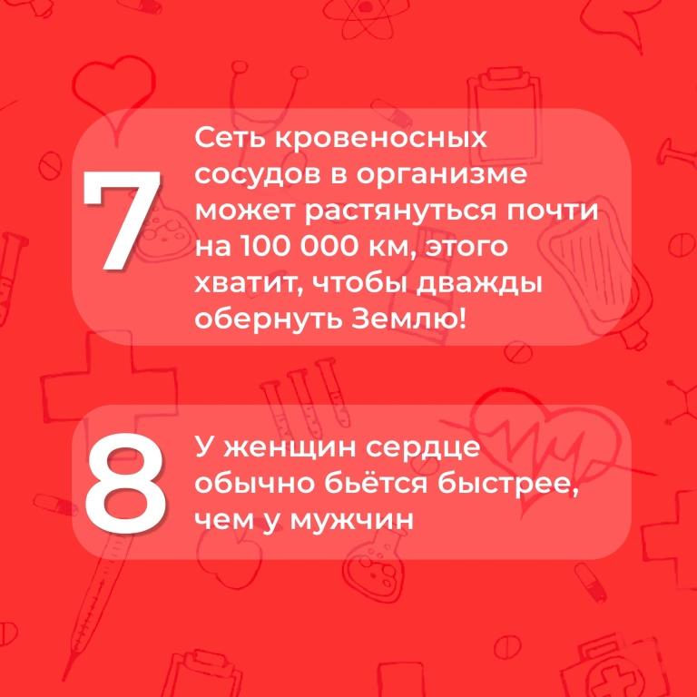Всё ли вы знаете о своём организме