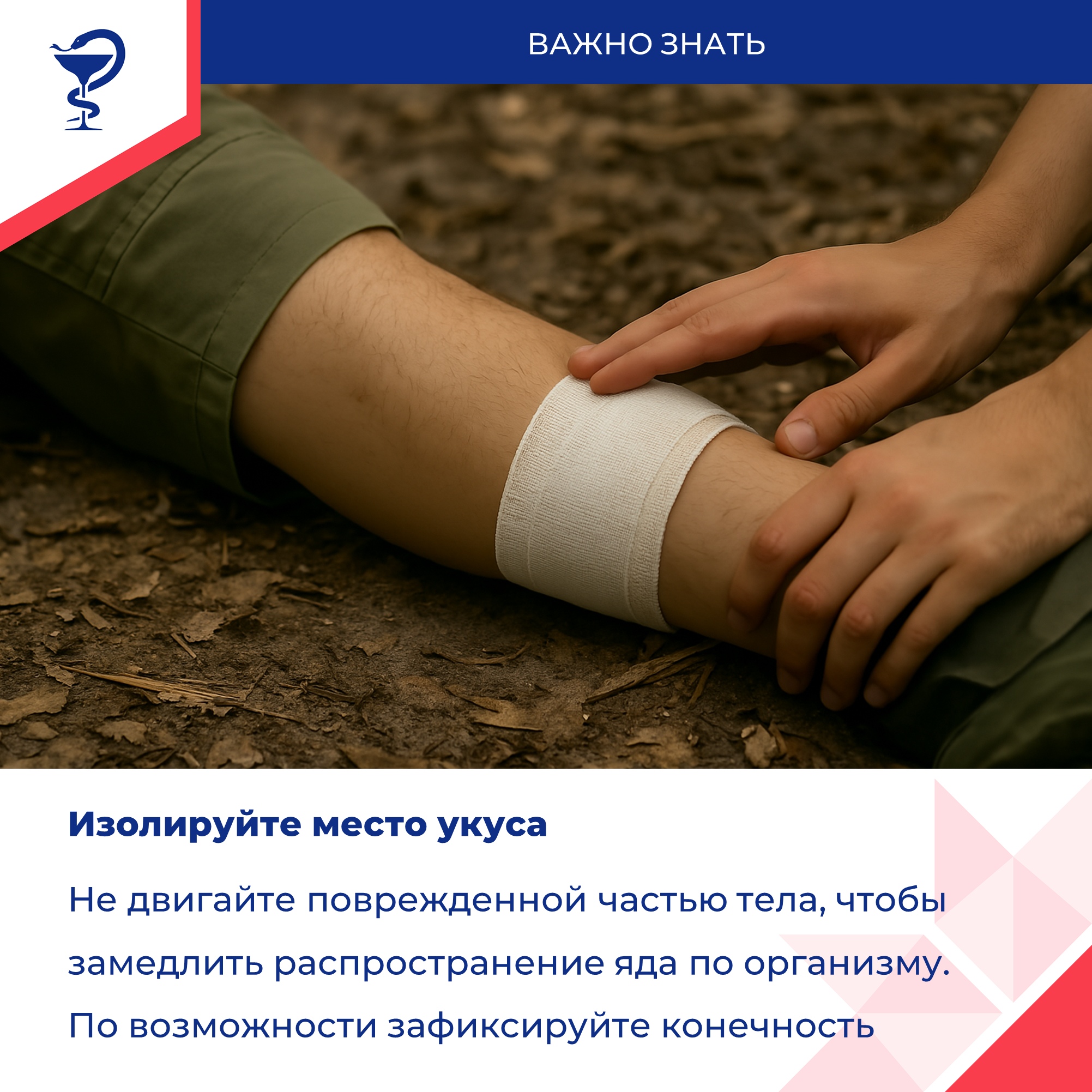 вас укусила змея