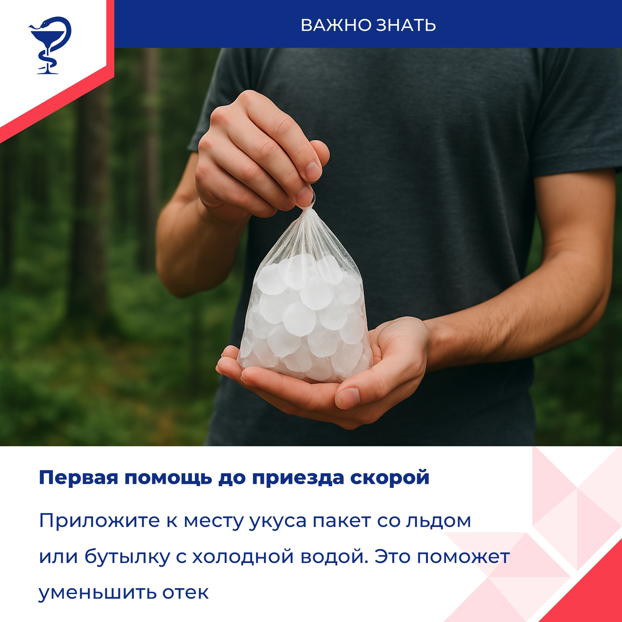 вас укусила змея